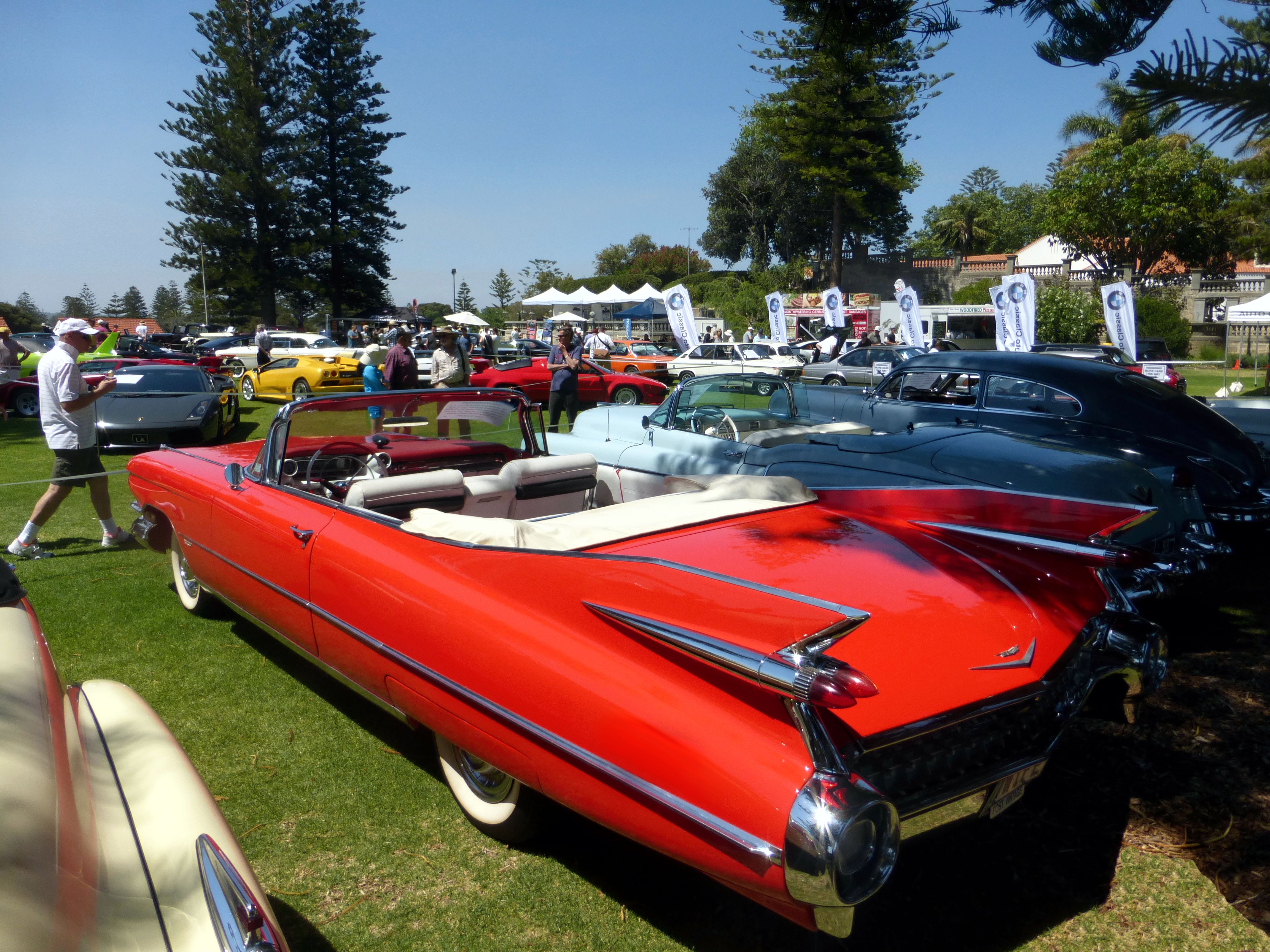 cotm16-cadillac-1959-rear