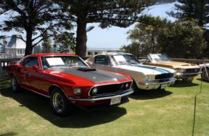 Ford Mustangs