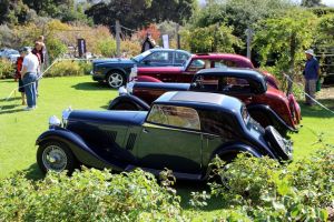 Bentleys on Tennis Court