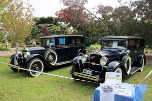 Blue Ribbon Packards