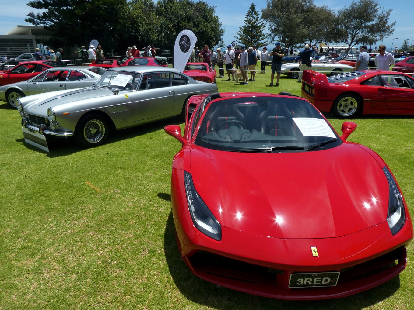 COTM19 Ferrari 488 &amp; 250